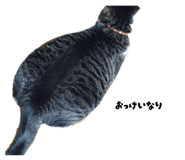 840837136