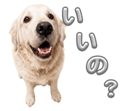 840837178