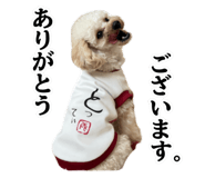 840837270