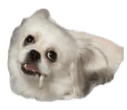 840837292