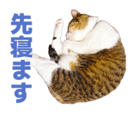 840837610