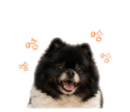 840838085