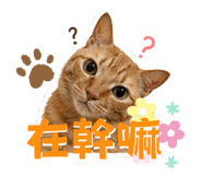 840838508