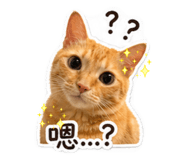 840838510
