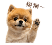 840839037