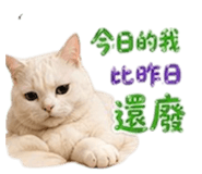 840839710
