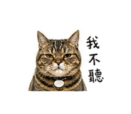 840840107