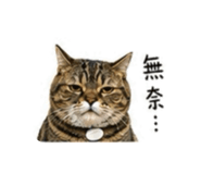840840109