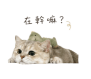840840847