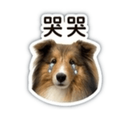 840841211