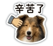 840841232