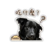 840841441