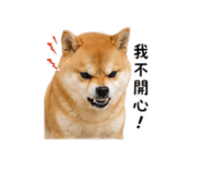 840841599