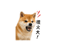 840841600