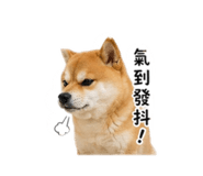 840841602