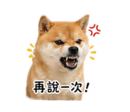 840841603