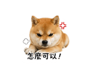 840841608