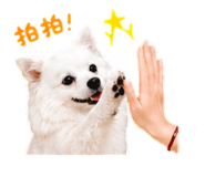 840842275