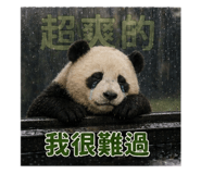 840843116