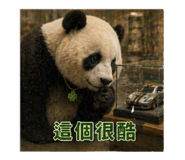 840843119