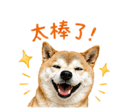 840843264