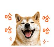 840843265