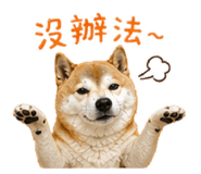840843280