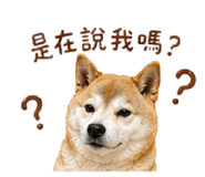 840843281