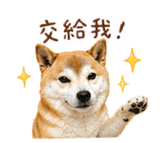 840843285