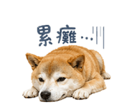 840843286