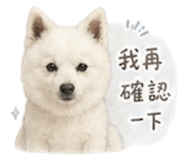 840844322