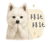 840844325