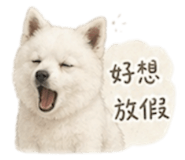 840844326
