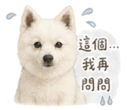 840844330