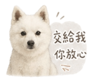 840844344