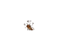 840845374