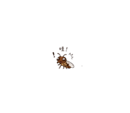 840845375