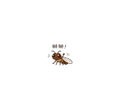 840845383