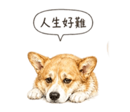 840847121