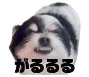 840848754