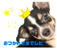 840849381