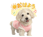 840850038
