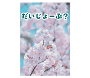 840850594