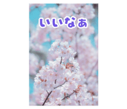 840850597