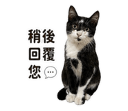 840850861
