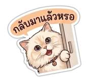 840851162