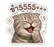 840851181