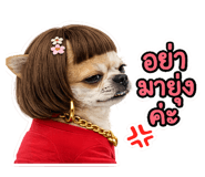840851459