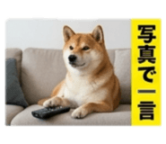 840851770
