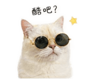 840852051